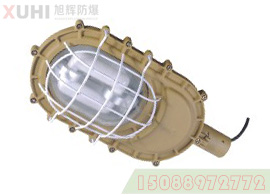 防爆灯XHD（SBD）1101A免维护节能型