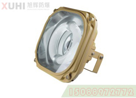 泛光灯XHF（SBF）6130免维护节能防水防尘防腐