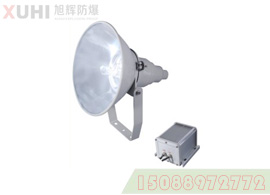 NTC9210防震型投光灯