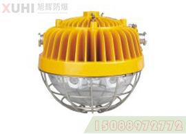 LED巷道灯DGS45/127L(A)矿用隔爆型