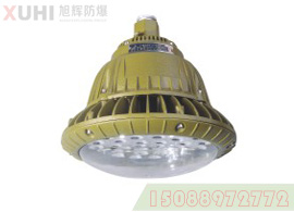 LED防爆灯（XHD530免维护）