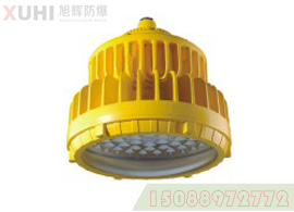 LED防爆灯（XHD611免维护）